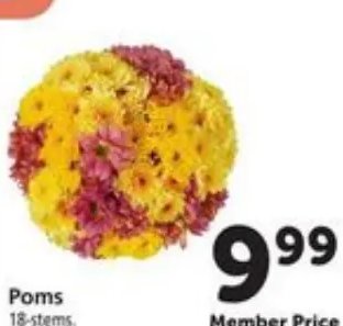 Poms