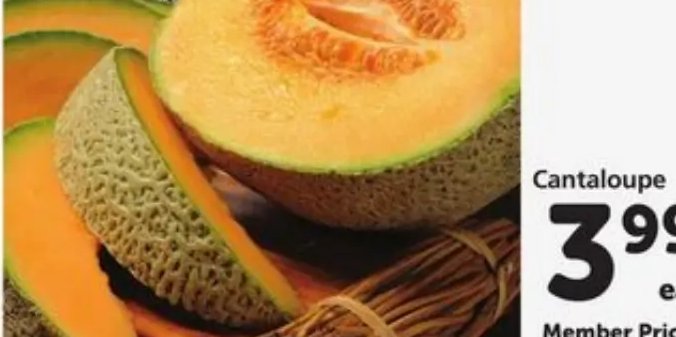 Cantaloupe