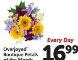 Overjoyed® Boutique Petals of the Month