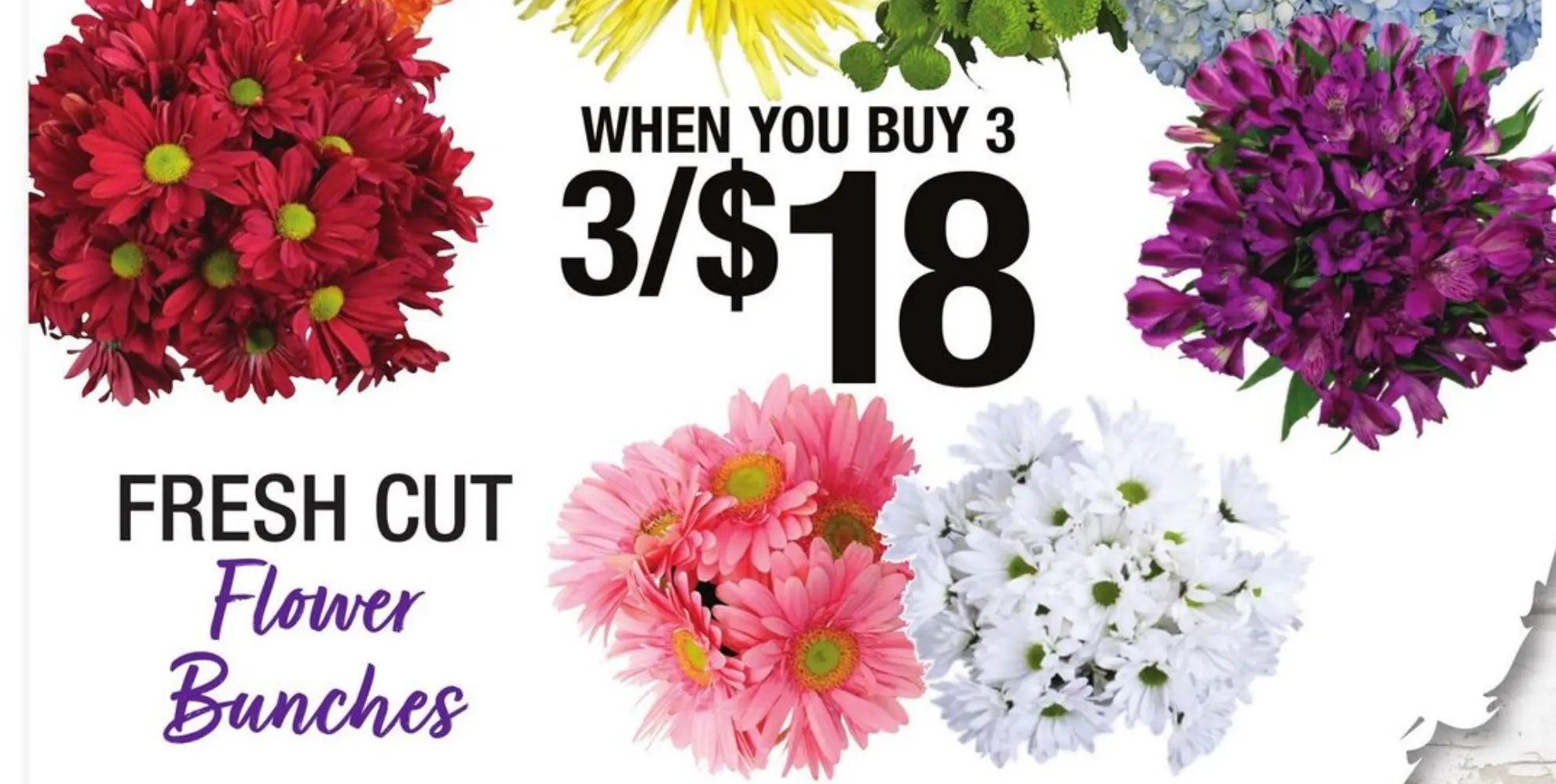 FRESH CUT Flower Bunches