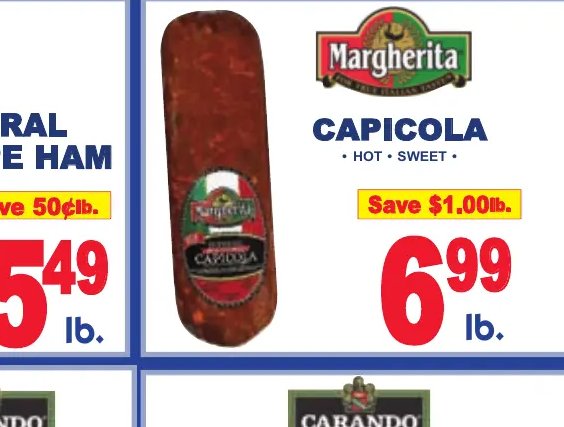 Soccer Ball Kalanchoe