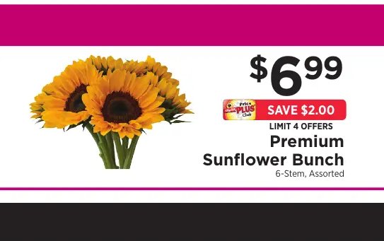Premium Sunflower Bunch