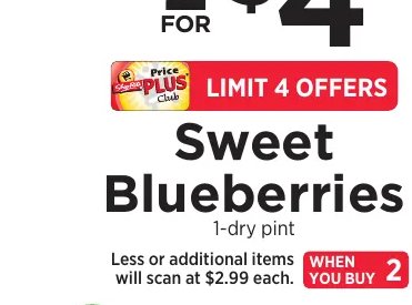Sweet Blueberries