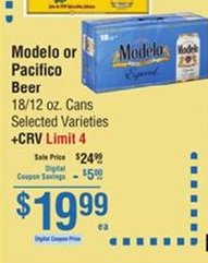 Modelo or Pacifico Beer