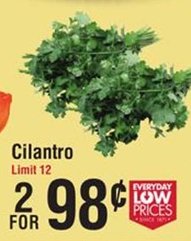 Cilantro