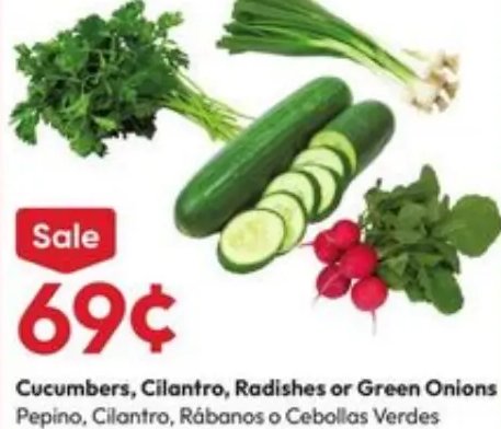 Cucumbers, Cilantro, Radishes or Green Onions