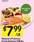 Nature's Promise Fresh Salmon Fillets