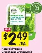 Nature's Promise Greenhouse Grown Salad