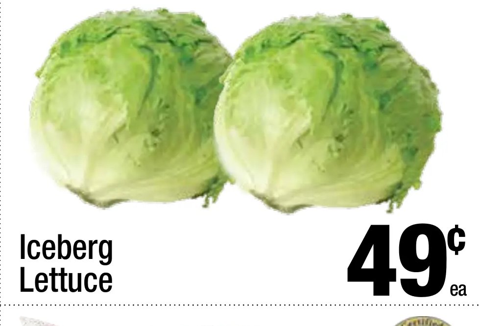 Iceberg Lettuce
