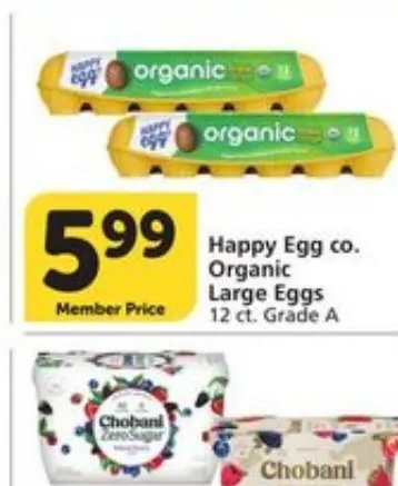 Lucerne or O Organics Greek Yogurt
