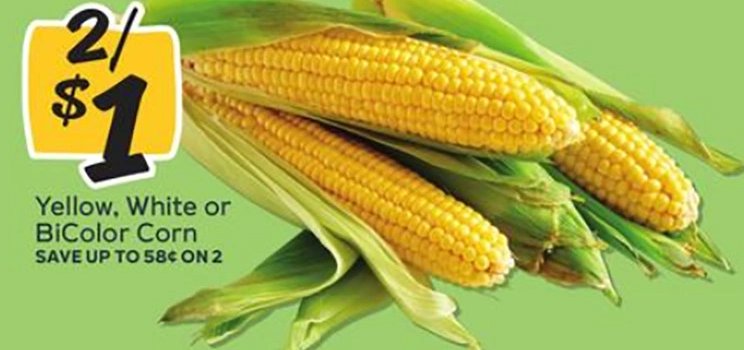 Yellow, White or BiColor Corn