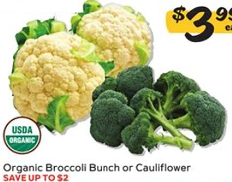 Organic Broccoli Bunch or Cauliflower